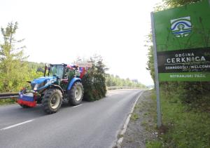 ŠTELNGA 03 FOTO LJUBO VUKELIČ